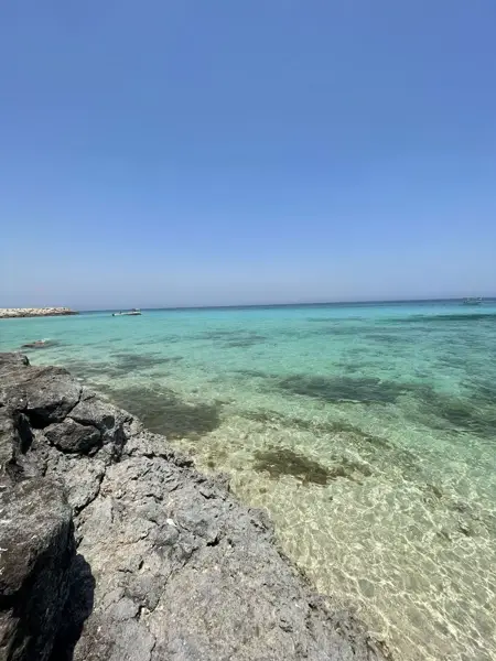  کافه رستوران فلای بورد
