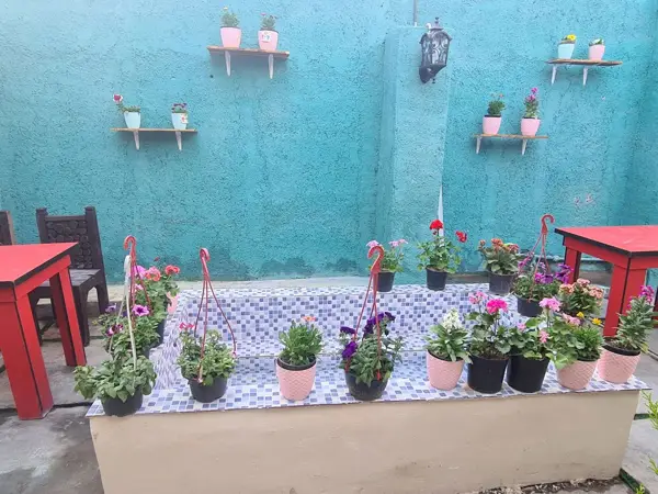  کافه قاف