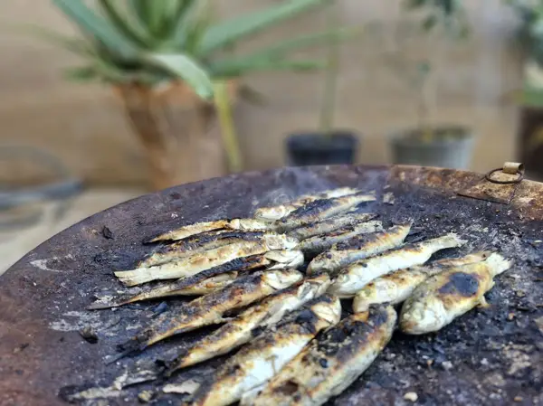  غذاخوری سنتی خاله سکینه