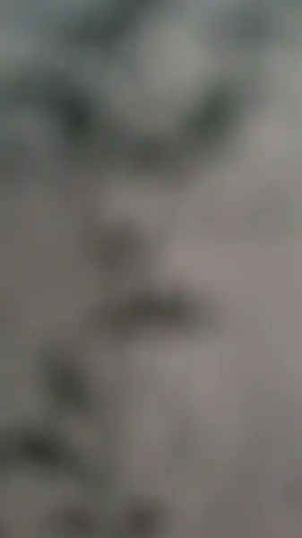  کارماکافه