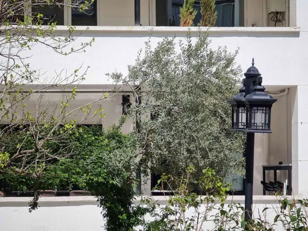 دان