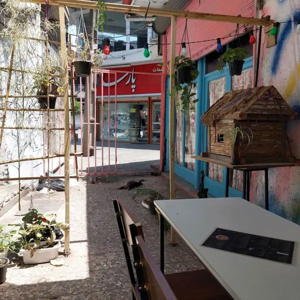  Gandom café کافه گندم